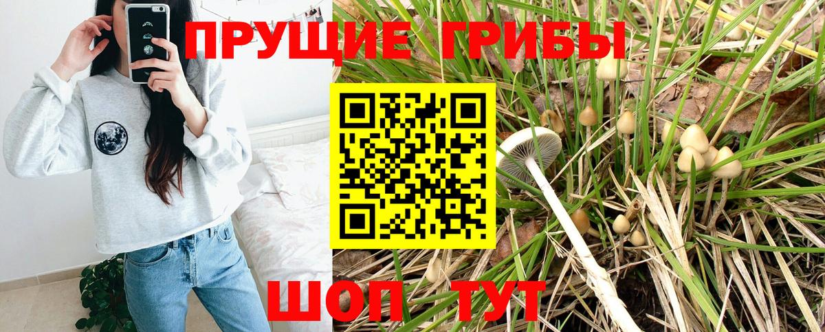 Галлюциногенные грибы Magic Shrooms  Галлюциногенные грибы мицелий  Тамбов  Вход с VPN 